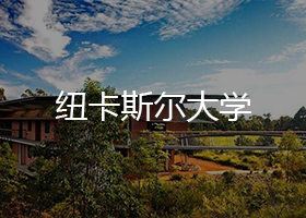 纽卡斯尔大学